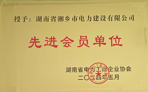 湖南省電力工程企業(yè)協(xié)會先進會員單位